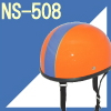 NS-508